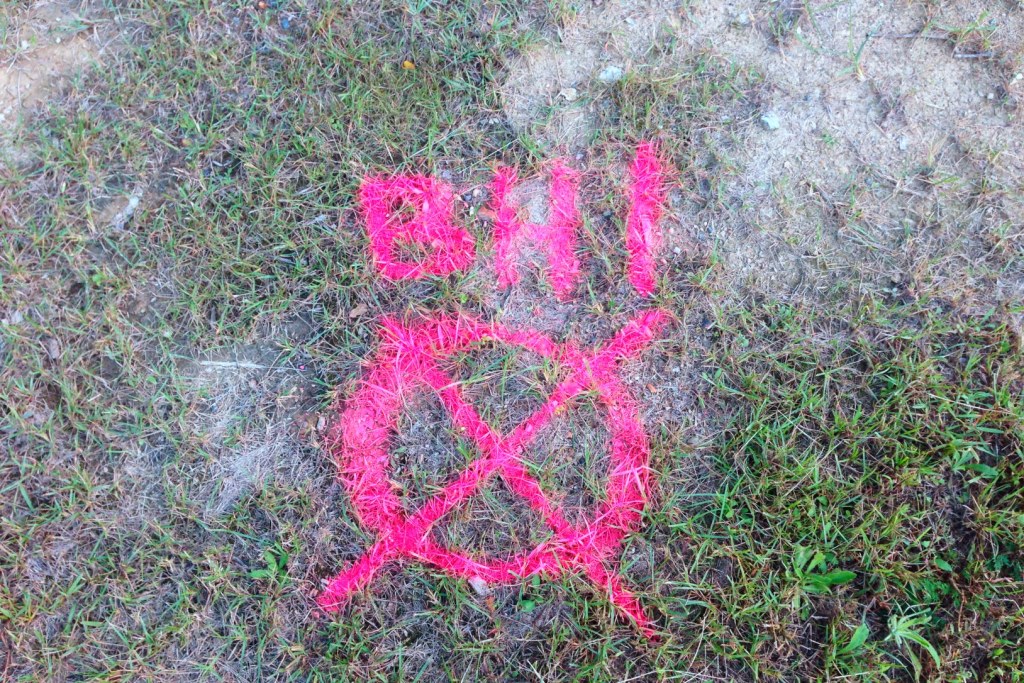 What does this mean?