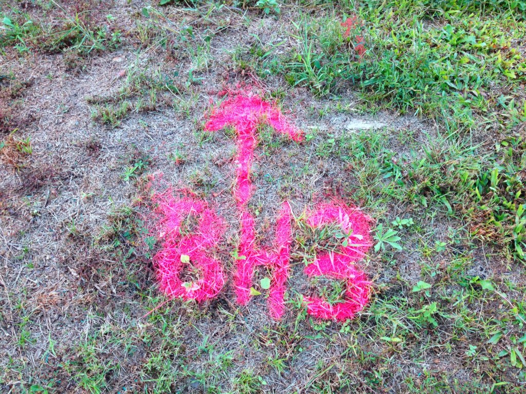 And why the pink? (Although my niece would love it.)