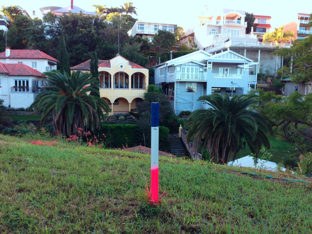 Hello, neighbours across the ravine! 